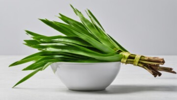 Pandan