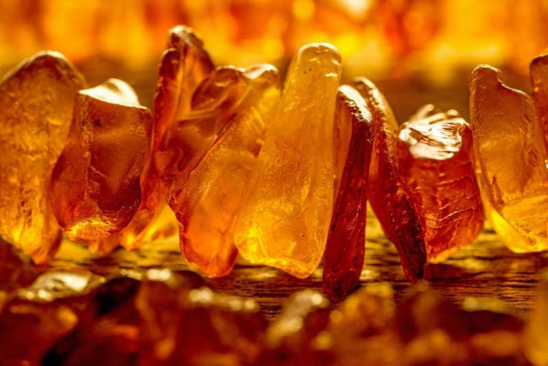 herbata z bursztynem