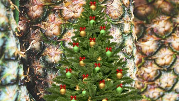 Choinka z ananasa – poczuj hawajski luz na Święta!