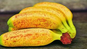 Dieta bananowa – ciekawy wynalazek z Japonii