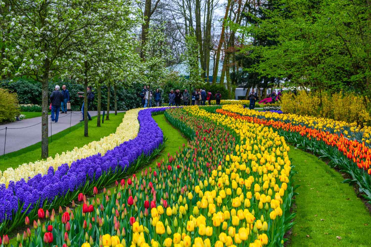 Keukenhof