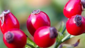 witamina c w kosmetyce