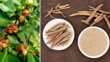 Zithromax bestellen zonder recept