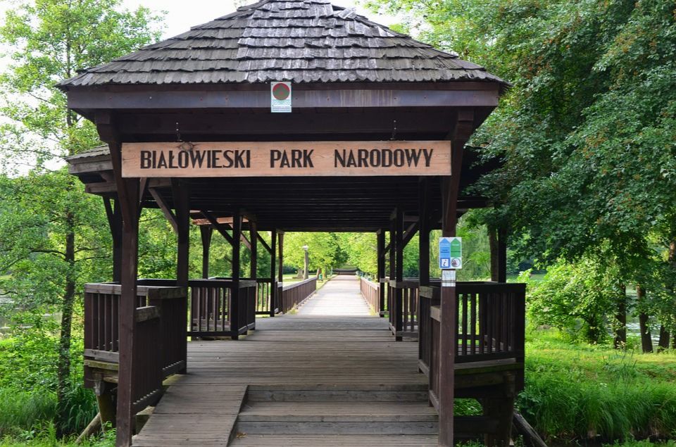 Najpiękniejsze trasy rowerowe w Polsce: Białowieski Park Narodowy