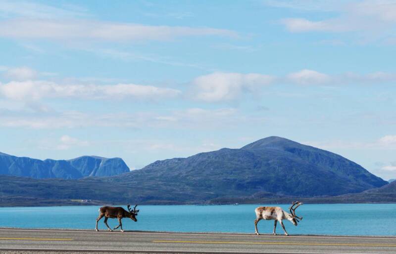 Naturalnie...z Finlandii
