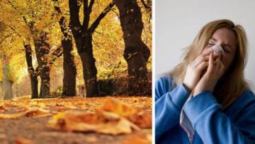 Alergia w listopadzie. Sprawdź co teraz pyli!