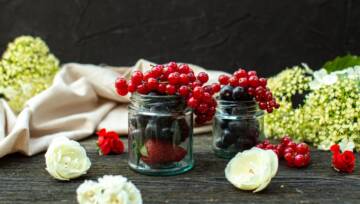 przetwory z dzikich owoców