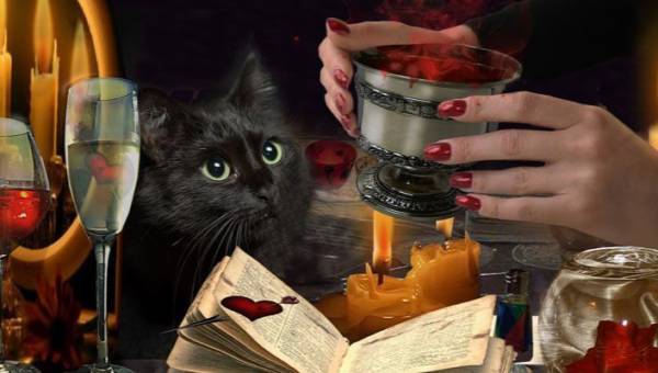 Miłosne czary – zaklęcia i magiczne eliksiry na Walentynki!