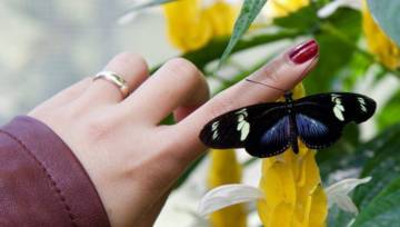 Dłonie pełne jarzębiny, gołębi i… logotypów- trendy manicure na jesień 2019