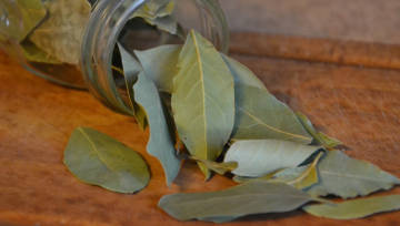 Magiczna moc liści laurowych