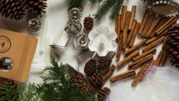 Co zrobić z szyszek