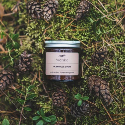 ekologiczne prezenty