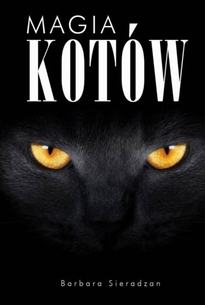 magia kotów magia kotów