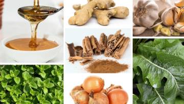 Najlepsze naturalne antybiotyki – 7 skutecznych roślin i ziół