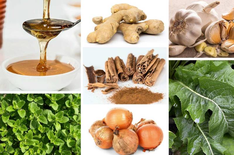 Najsilniejsze naturalne antybiotyki