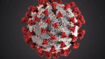 mity na temat koronawirusa