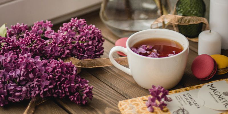 Herbata z bzu lilaka