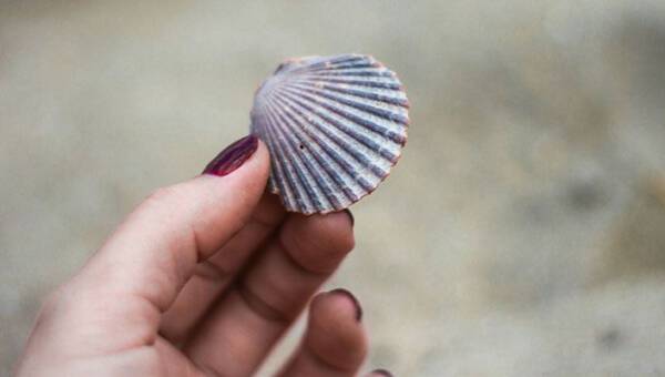 Paznokcie jak muszle – nowy, wakacyjny hit w manicure!