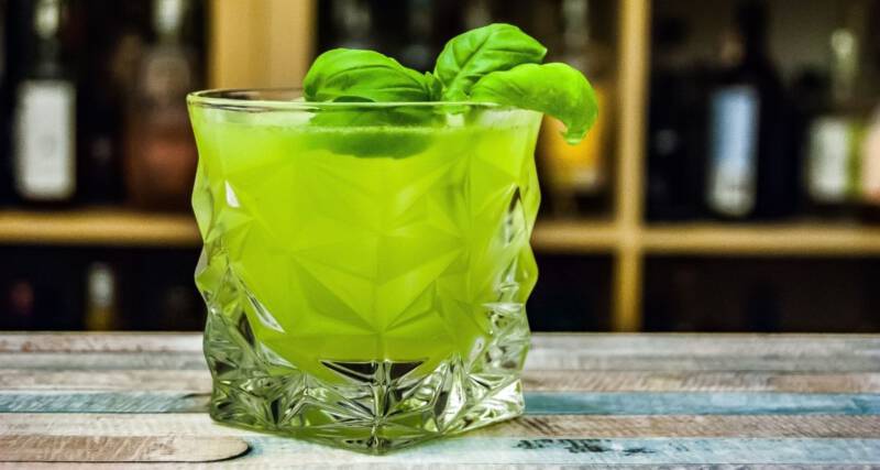 Jadalne chwasty, polne kwiaty i zioła