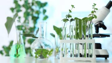 Jakość, innowacje, przełomowa technologia i… natura! Laboratorium Kosmetyczne AVA – marka, która łączy naukę i naturę