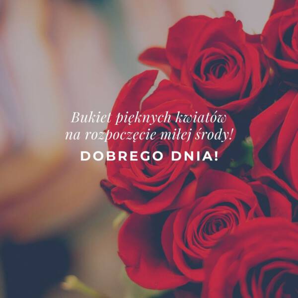 kartki na środę życzenia pozdrowienia