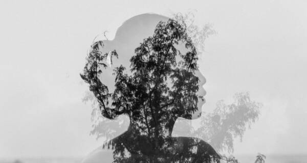 Osoby Wysoko Wrażliwe