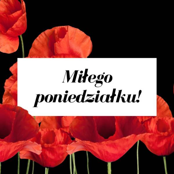 Miłego poniedziałku Miłego poniedziałku