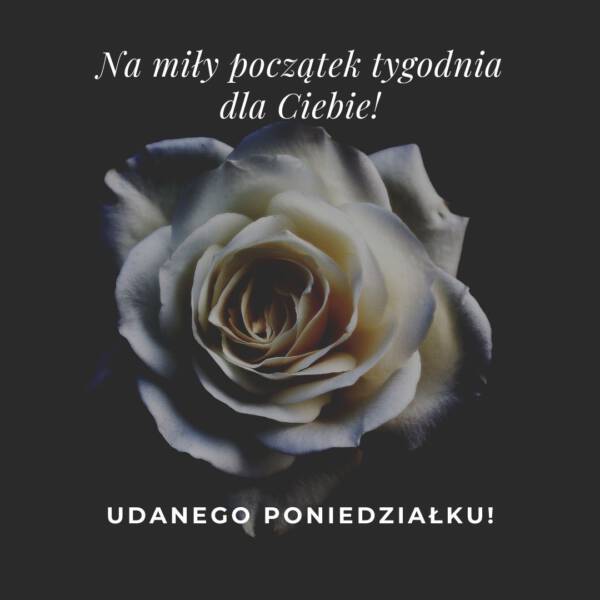 Miłego poniedziałku grafiki Miłego poniedziałku grafiki