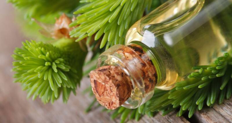 olejek pichtowy w pielęgnacji DP