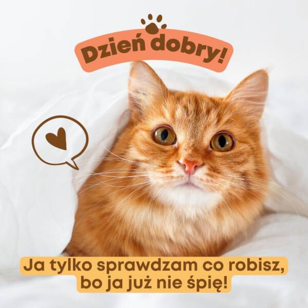 kartka miłego dnia na wesoło