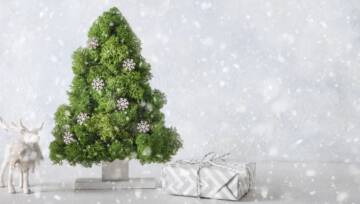 Choinka z chrobotka jak zrobić DIY