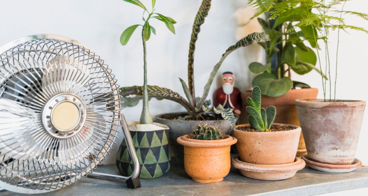 Jak obniżyć temperaturę w pokoju?