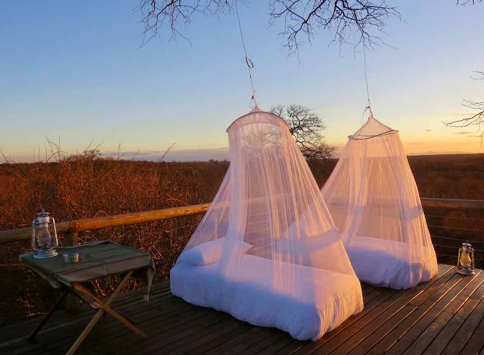 Ukąszenia owadów na campingu. Jak ich uniknąć?