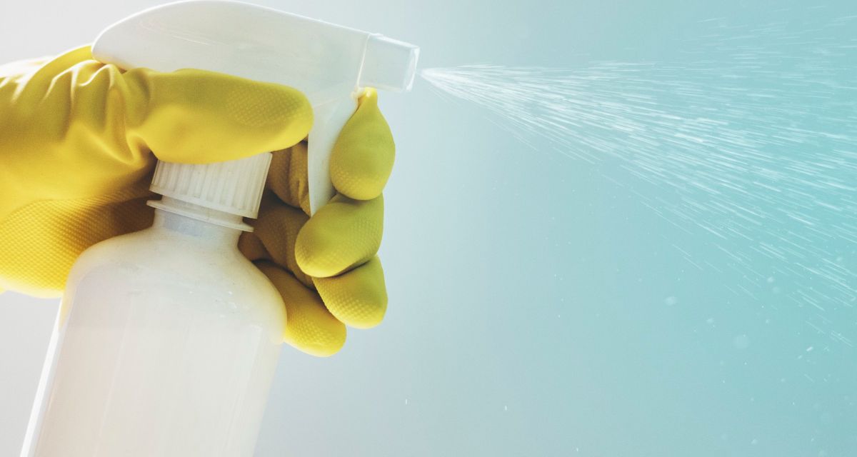 spray na rybiki cukrowe/Freepik spray na rybiki cukrowe