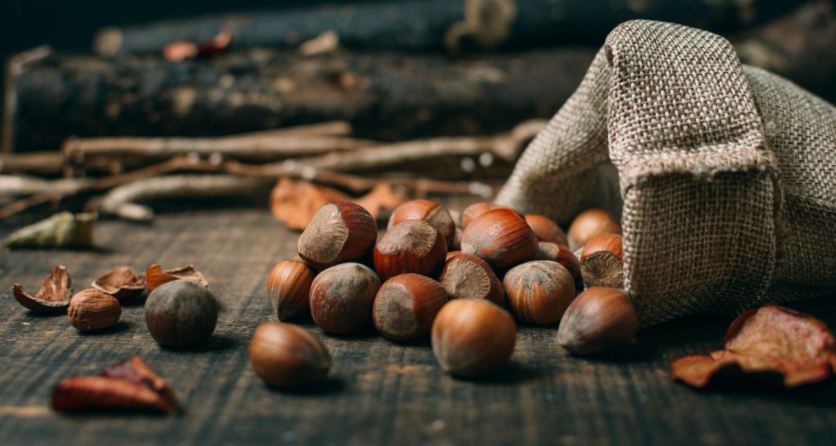 rozsypany worek z kasztanami Freepik rozsypany worek z kasztanami