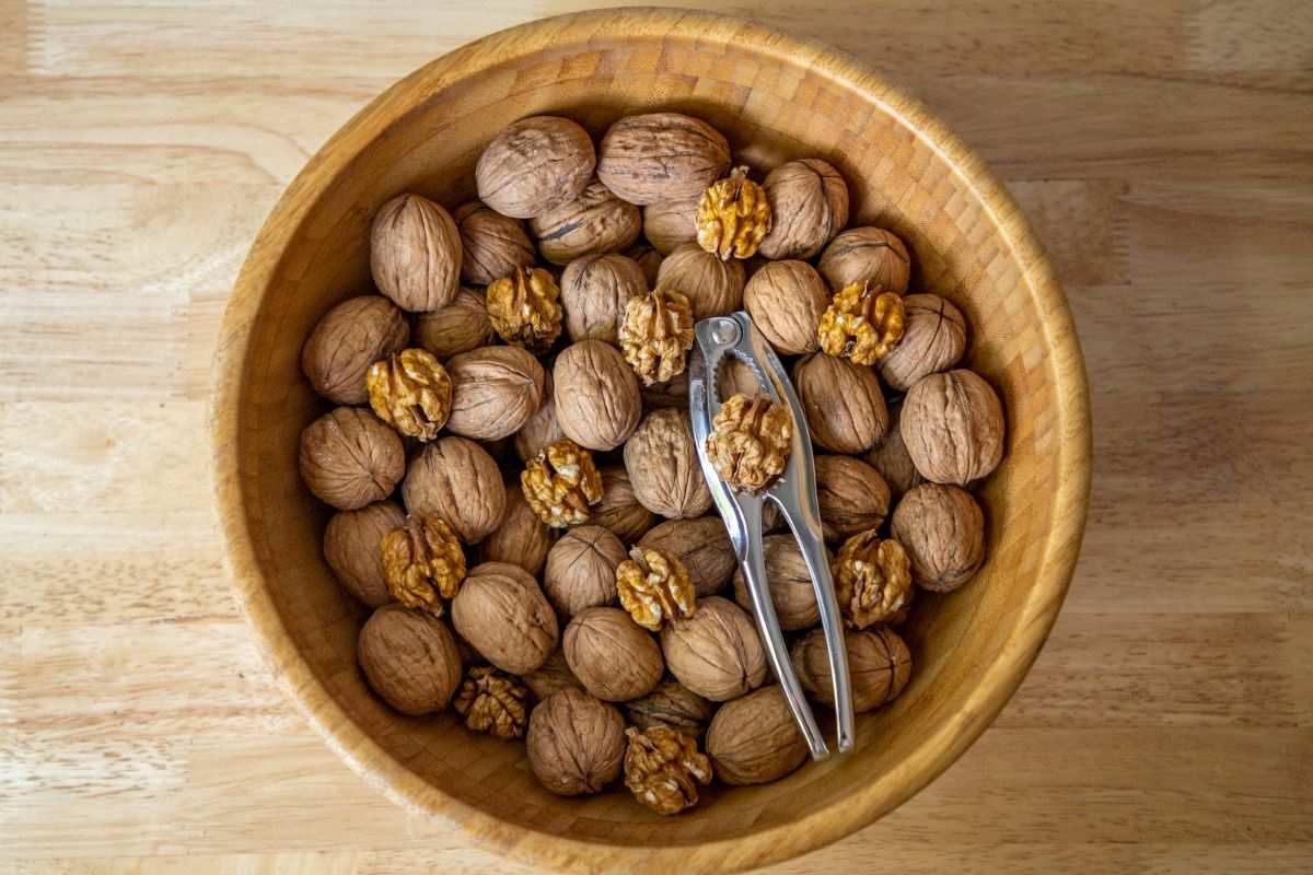 orzechy włoskie w misce