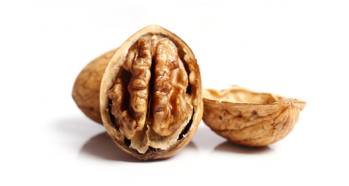 orzech włoski