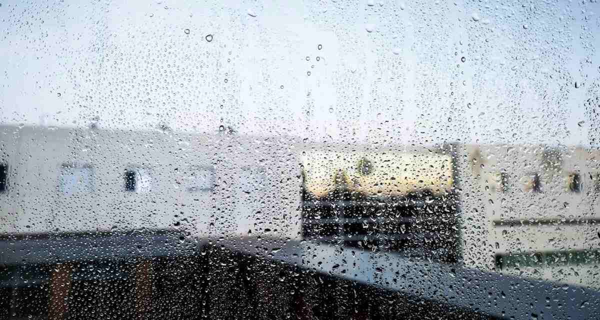 mokre okno Freepik mokre okno