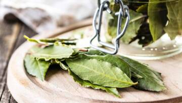 liście laurowe na desce