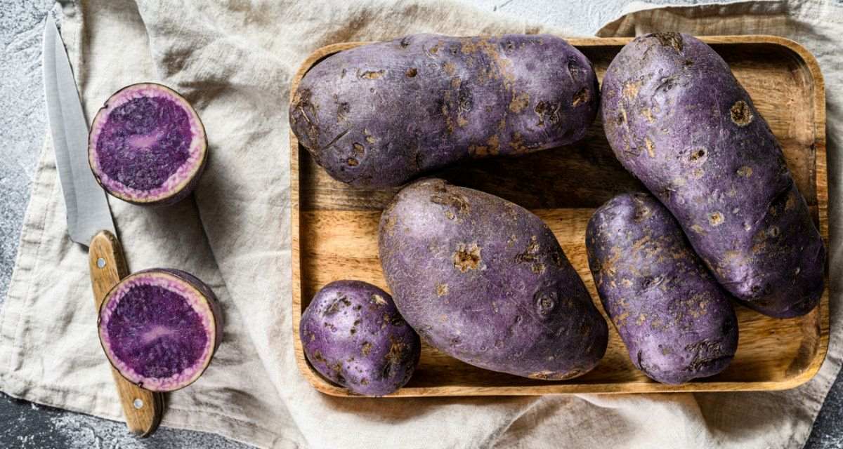 fioletowy ziemniak