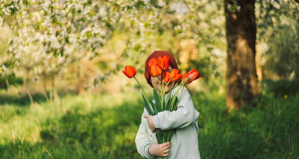 dziecko z bukietem tulipanów