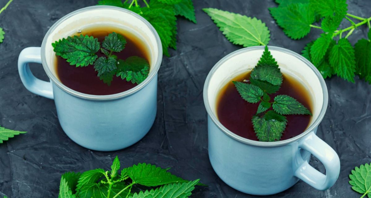 herbata ziołowa w kubkach