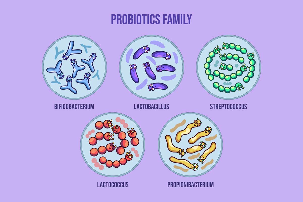 probiotyki