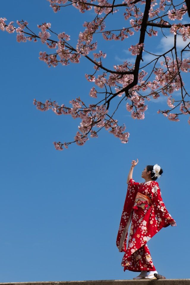 sakura