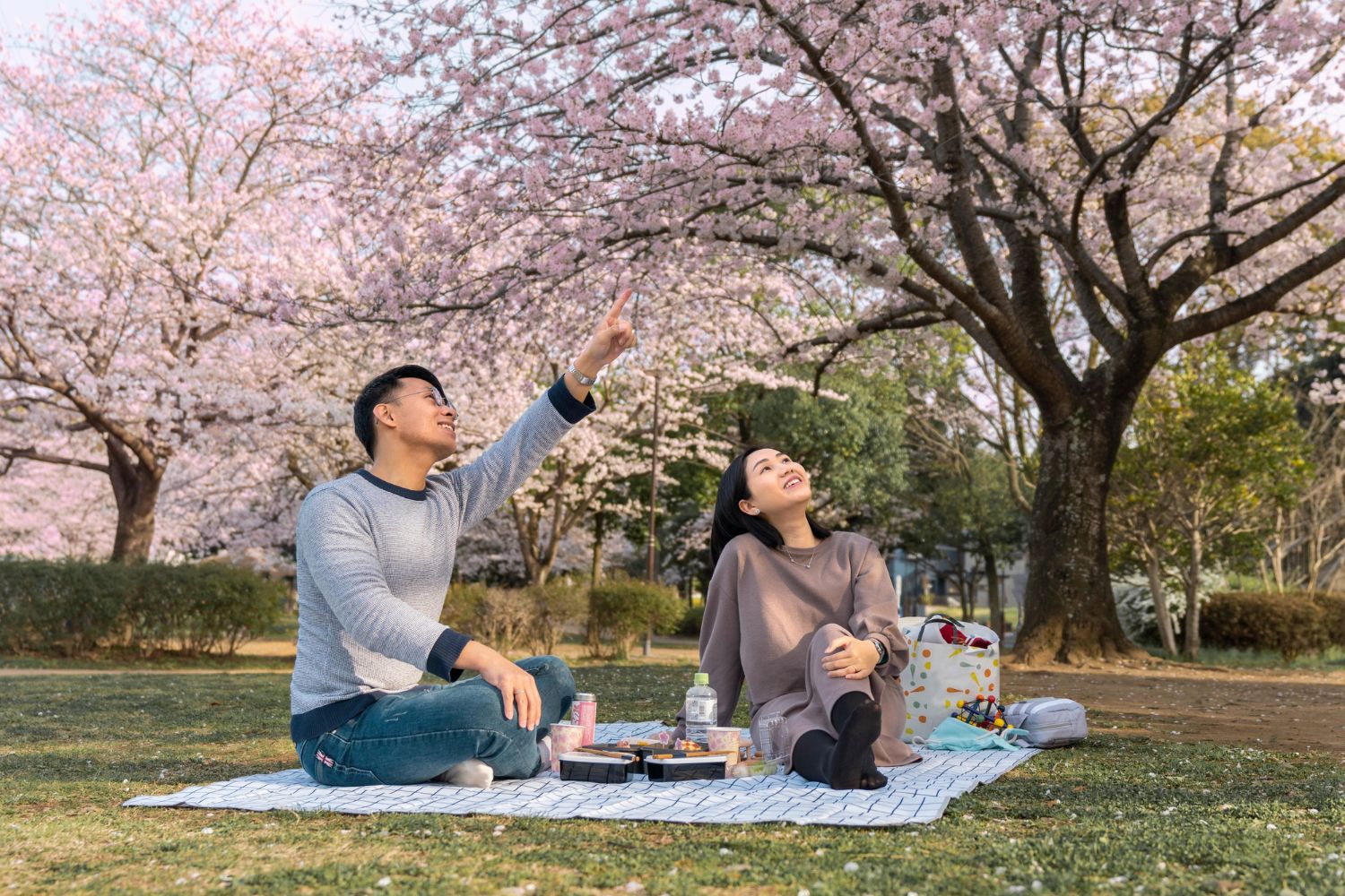 dzień hanami