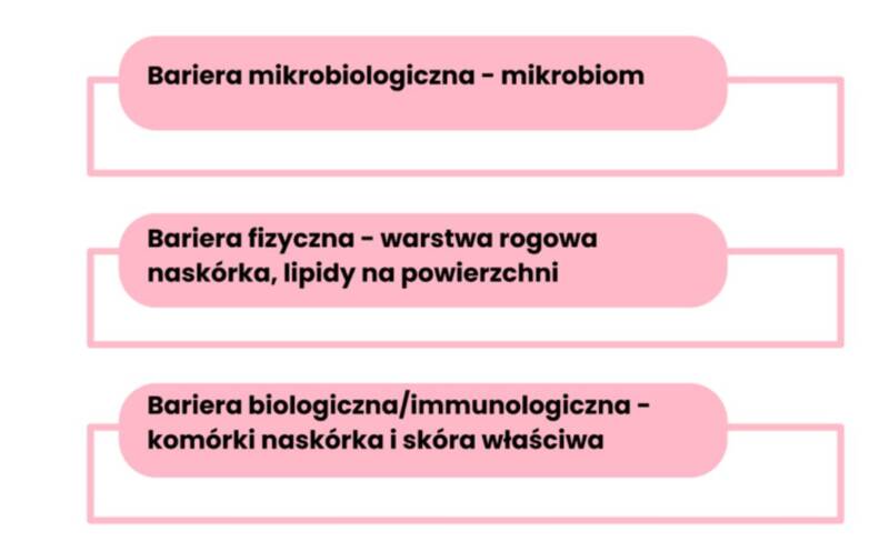 mikrobiom