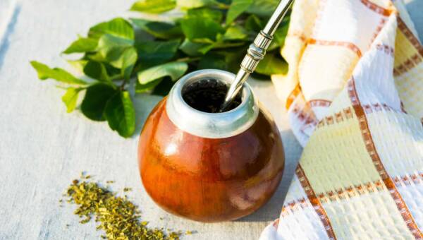 Naczynie do yerba mate – jak wybrać idealne matero do yerby? Naczynie do yerba mate – jak wybrać idealne matero do yerby?
