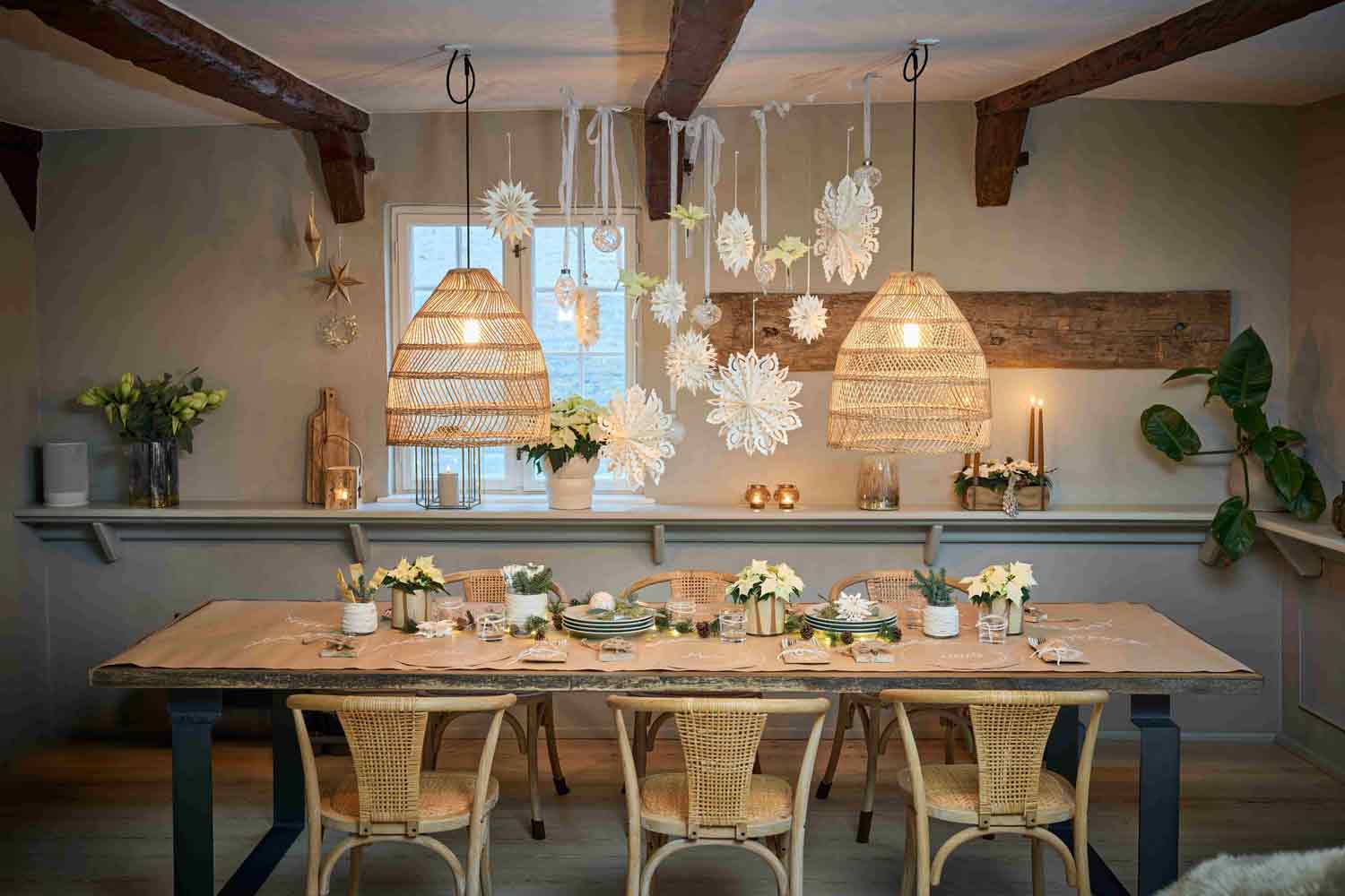 2025 Poinsecja 01000 Nordycki Zimowy Urok Delikatny, skandynawski, zimowy nastrój: poinsecje w kremowych, białych i łagodnych morelowych odcieniach dodają subtelnej barwy, a w połączeniu z naturalnymi beżami, ciepłym światłem świec i teksturowaną, zimową zielenią tworzą świąteczne akcenty o lekkim, przestrzennym charakterze. Prosto, naturalnie i bez wysiłku.