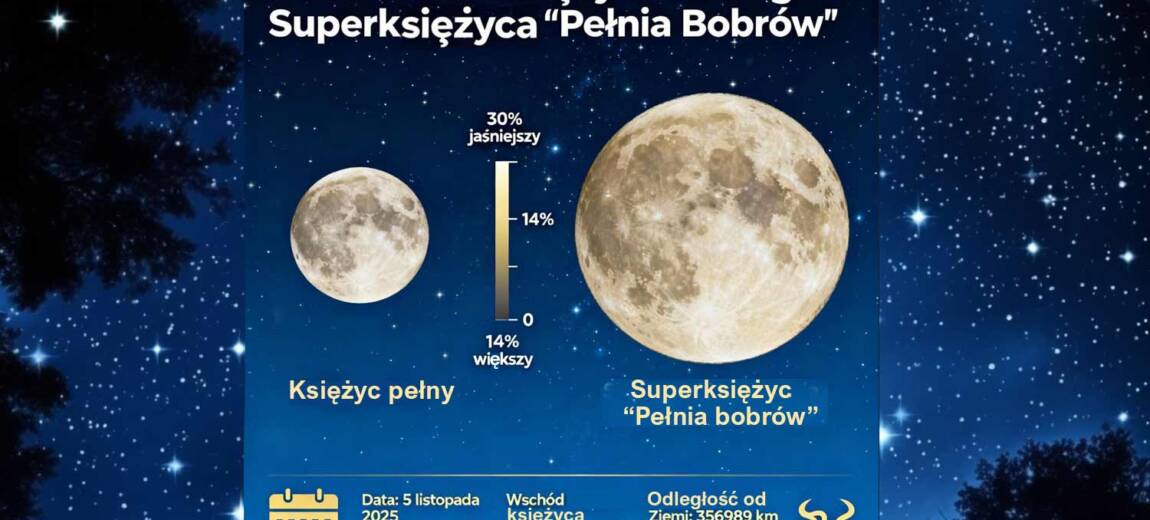 Pełnia bobrów
