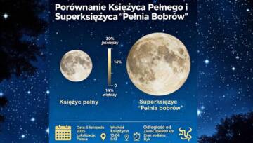 Pełnia bobrów